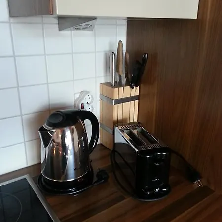 Lasch In Adler Apartment *