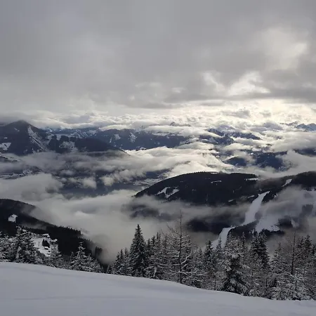 דירה Lasch In Adler *