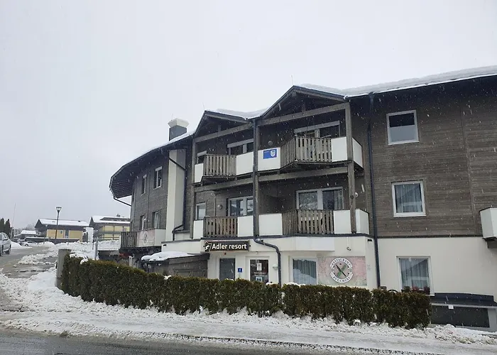 Apartman Lasch In Adler *