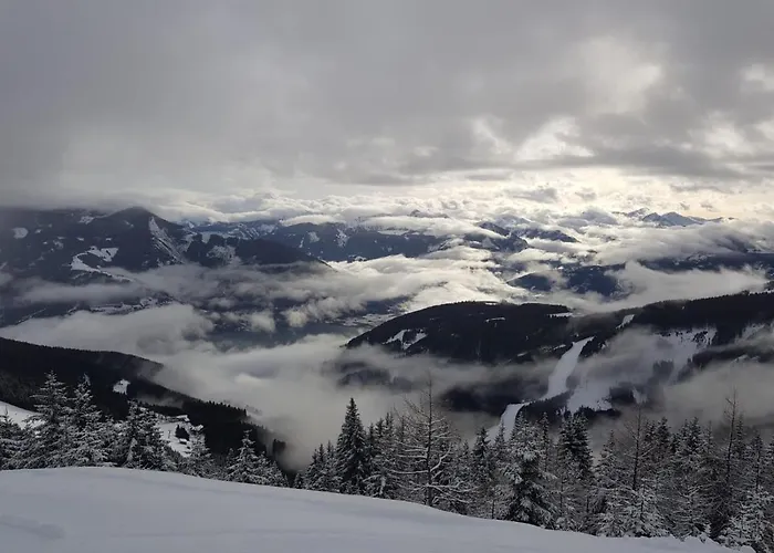 Apartman Lasch In Adler *